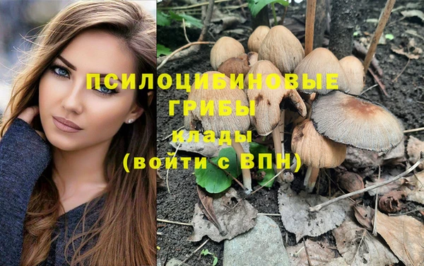 герыч Алзамай