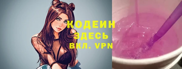 индика Абаза