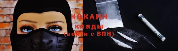 кокс Алексин