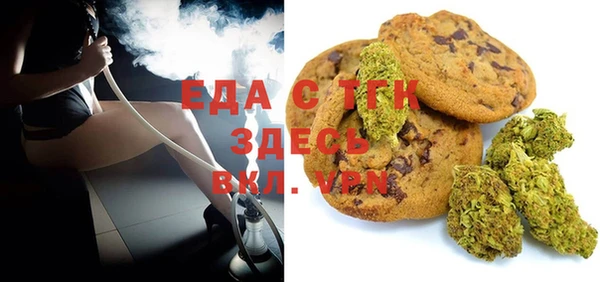индика Абаза