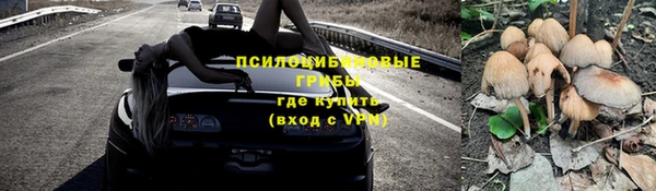 кокс Алексин